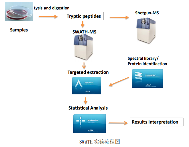 SWATH定量蛋白质组学数据处理服务的精细化流程与关键方法